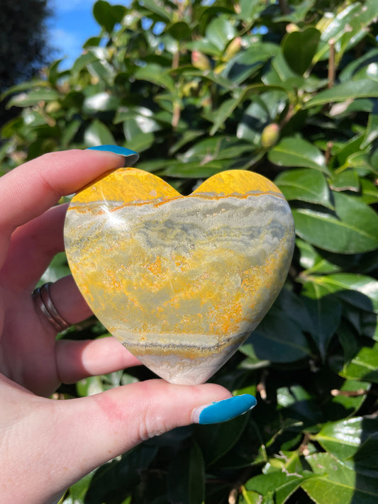 Bumble Bee Jasper Heart Large A