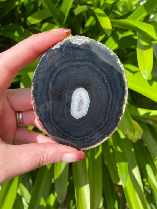 Agate Slice | Brown A