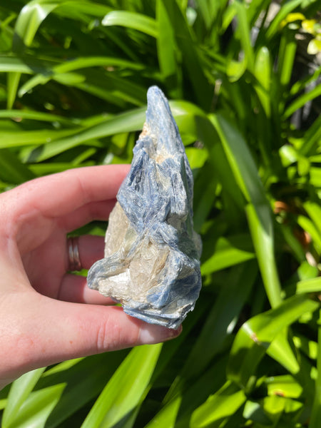 Blue Kyanite With Mica Piece D