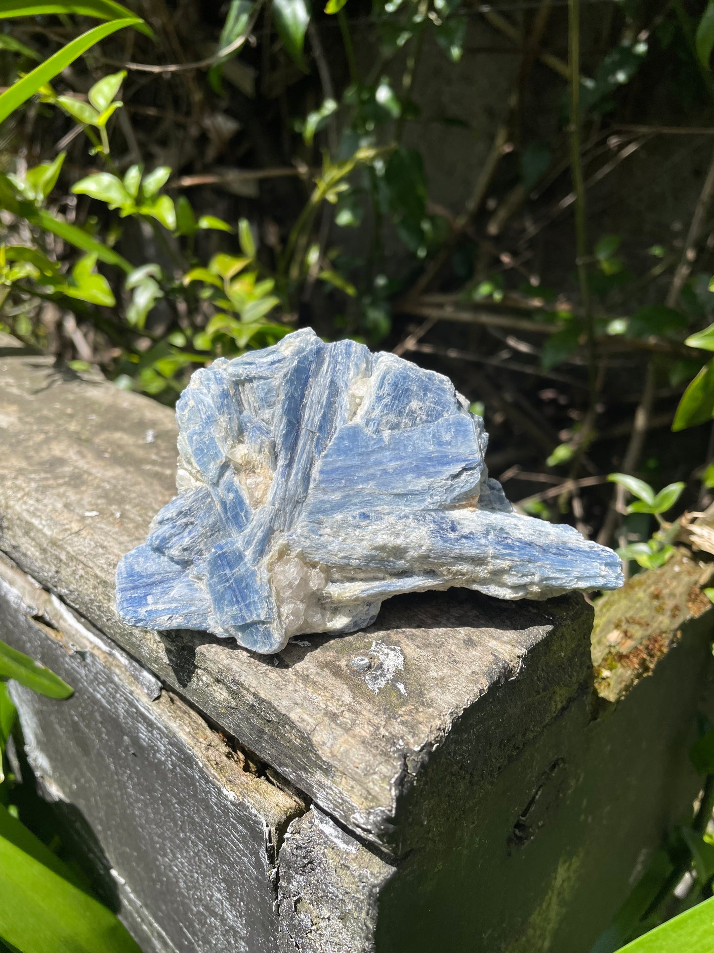 Blue Kyanite With Mica Piece D