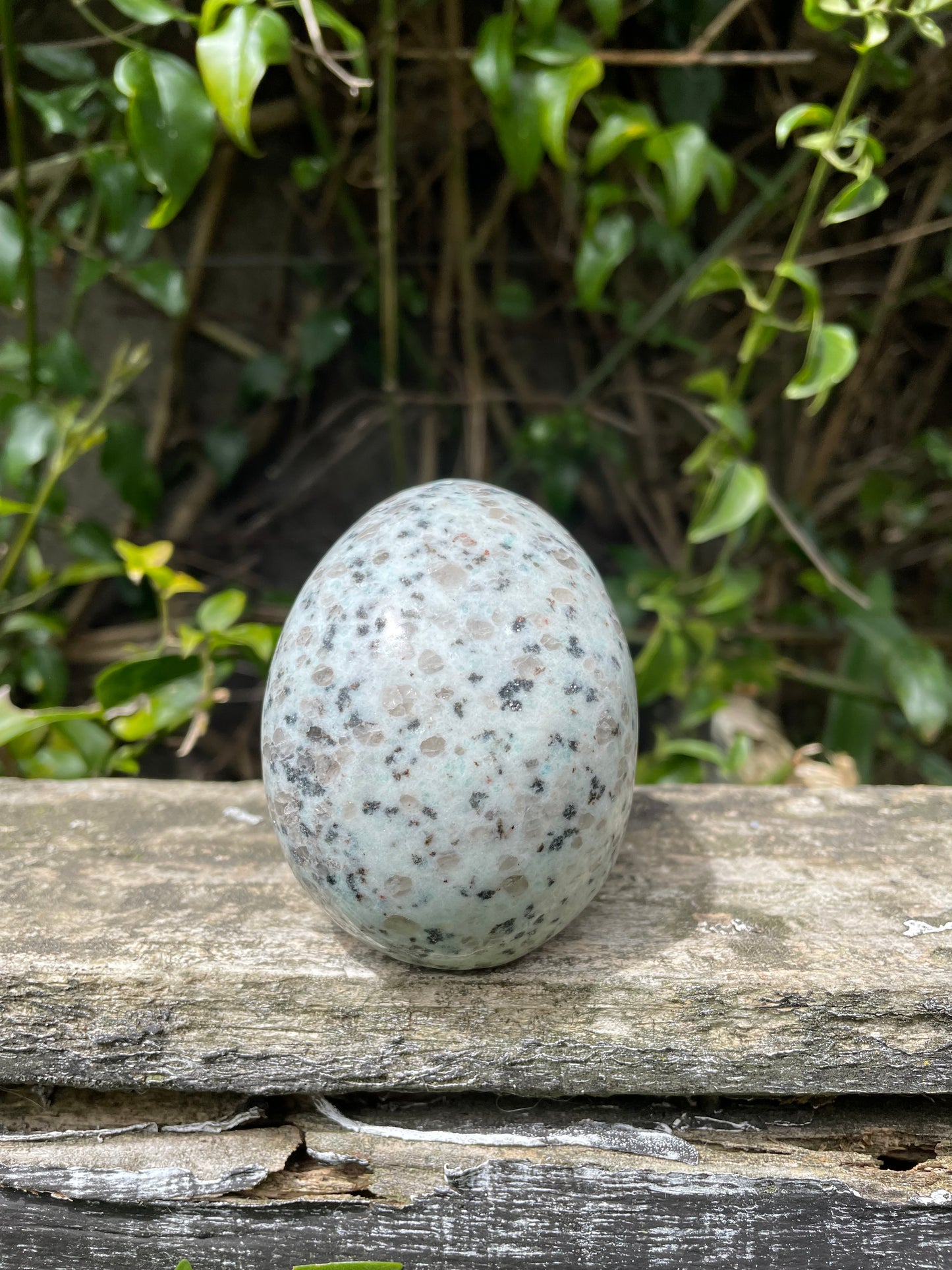 Kiwi Jasper Skull Large