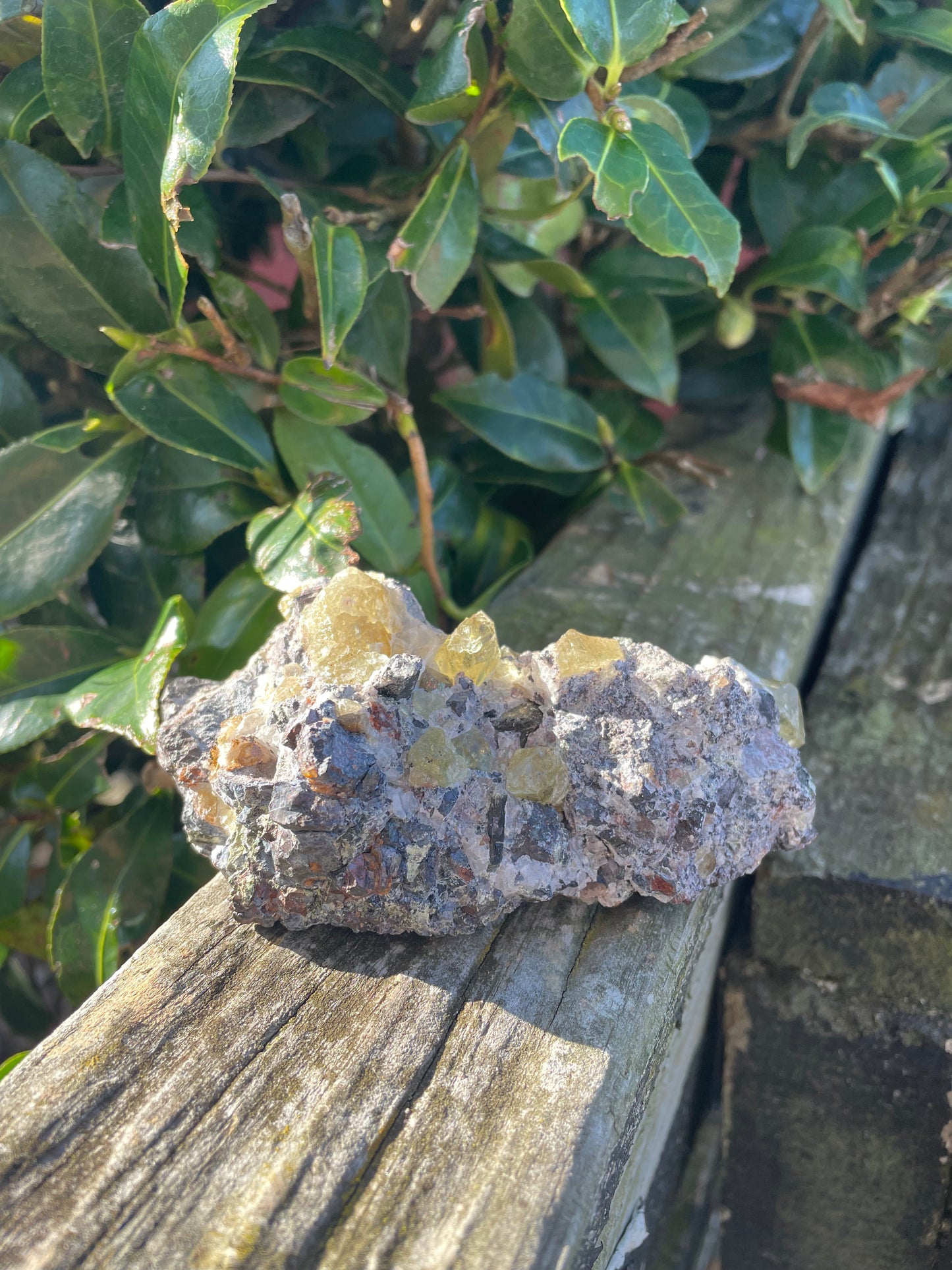 Yellow Apatite In Matrix Cluster