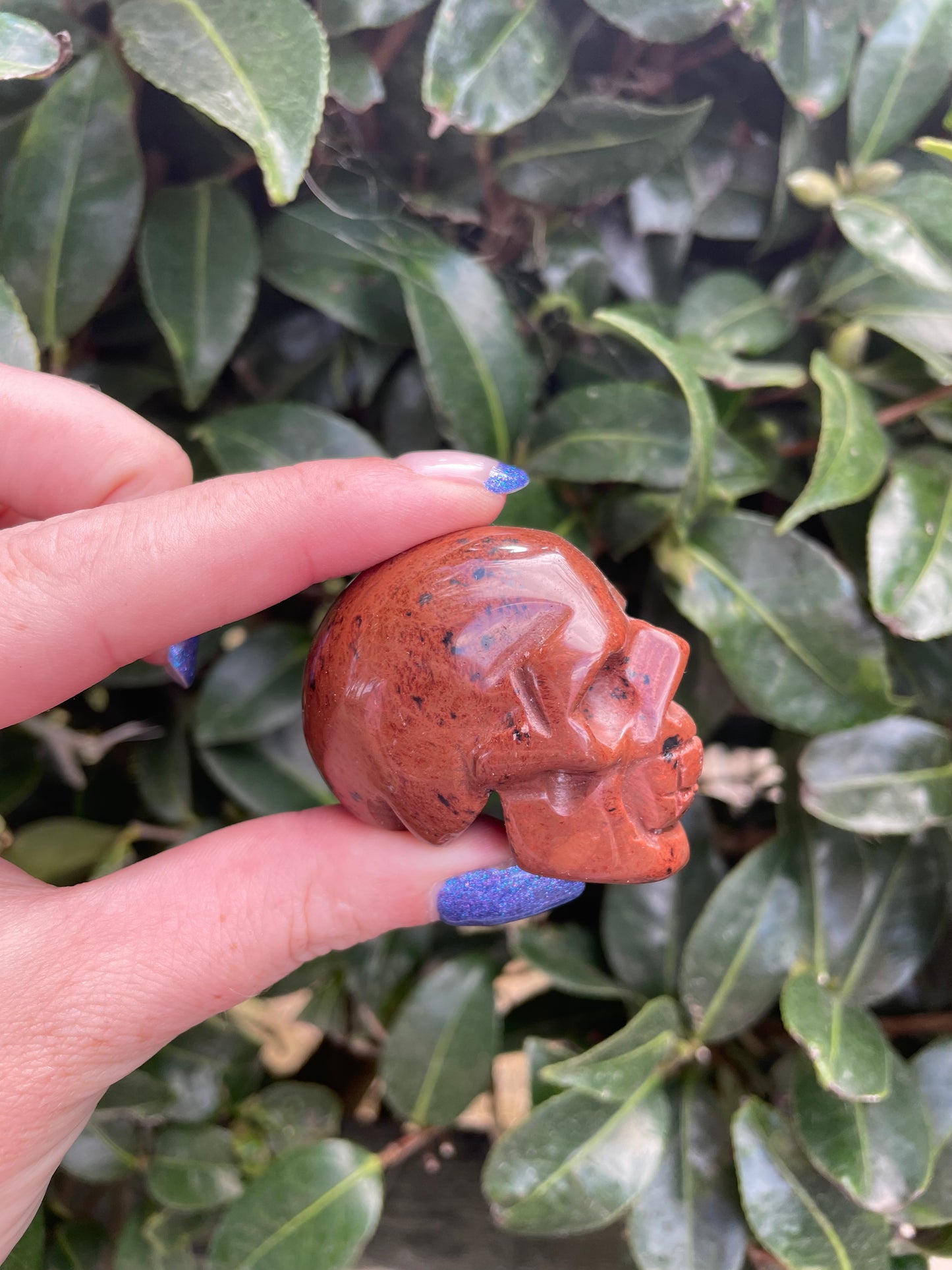 Mahogany Obsidian Skull Medium