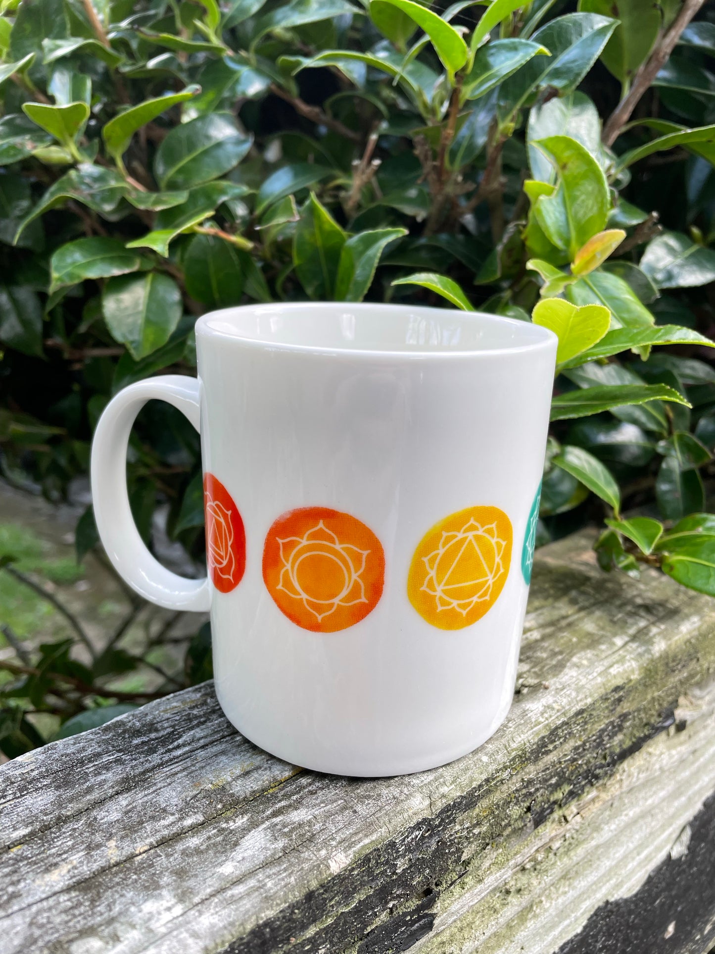 Chakra Mug