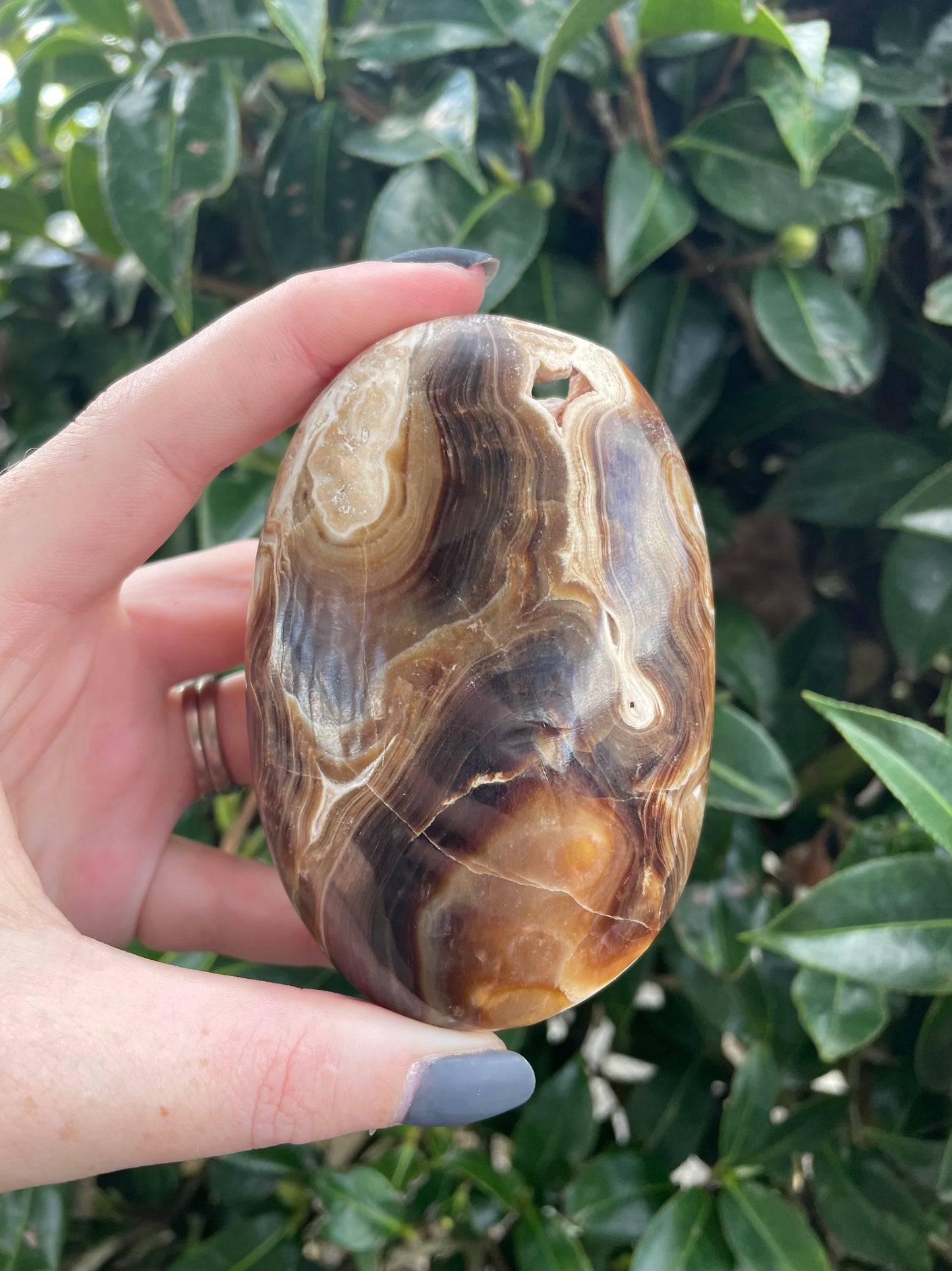 Chocolate Calcite Palmstone B