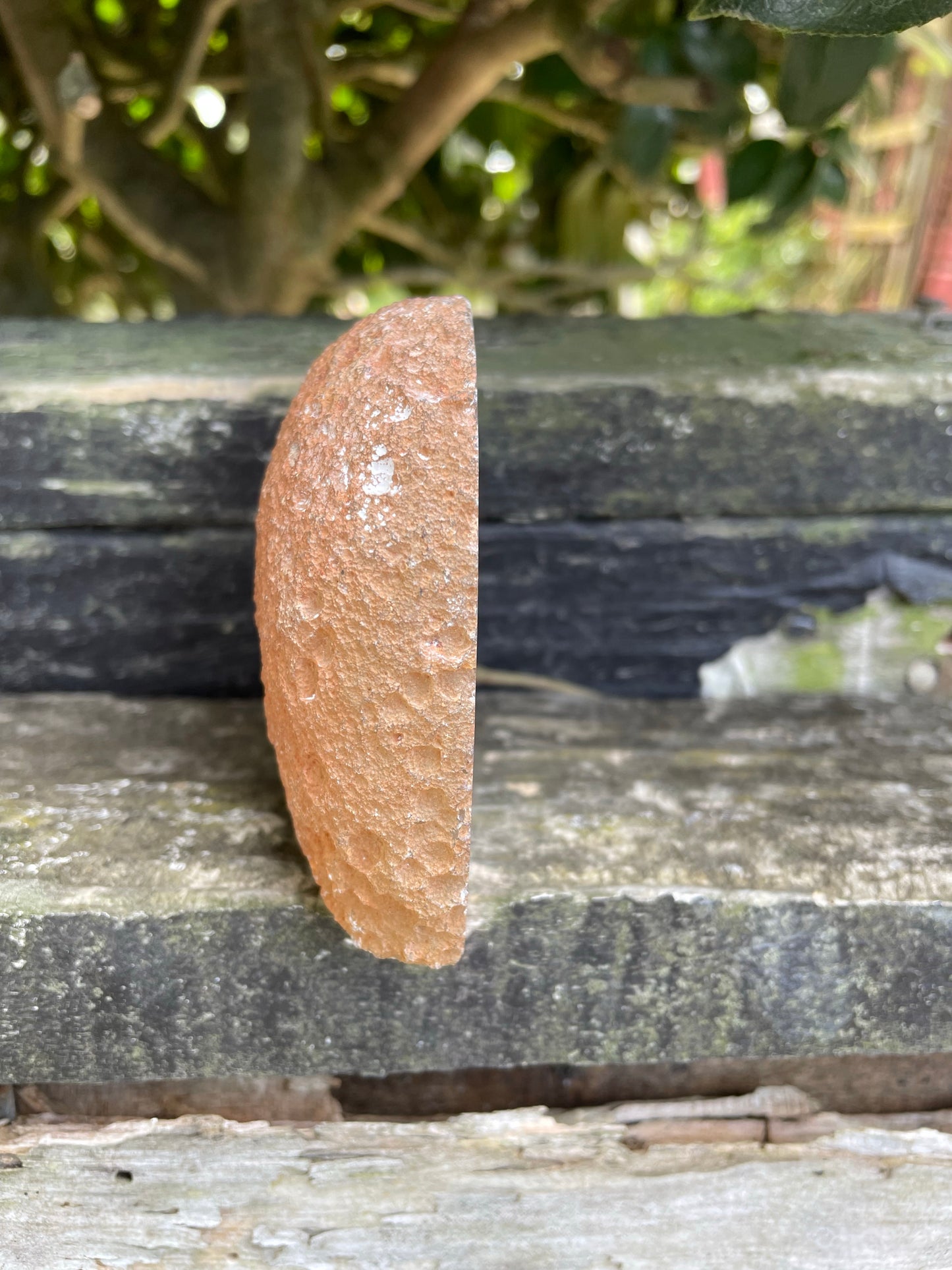 Brown Agate Geode D