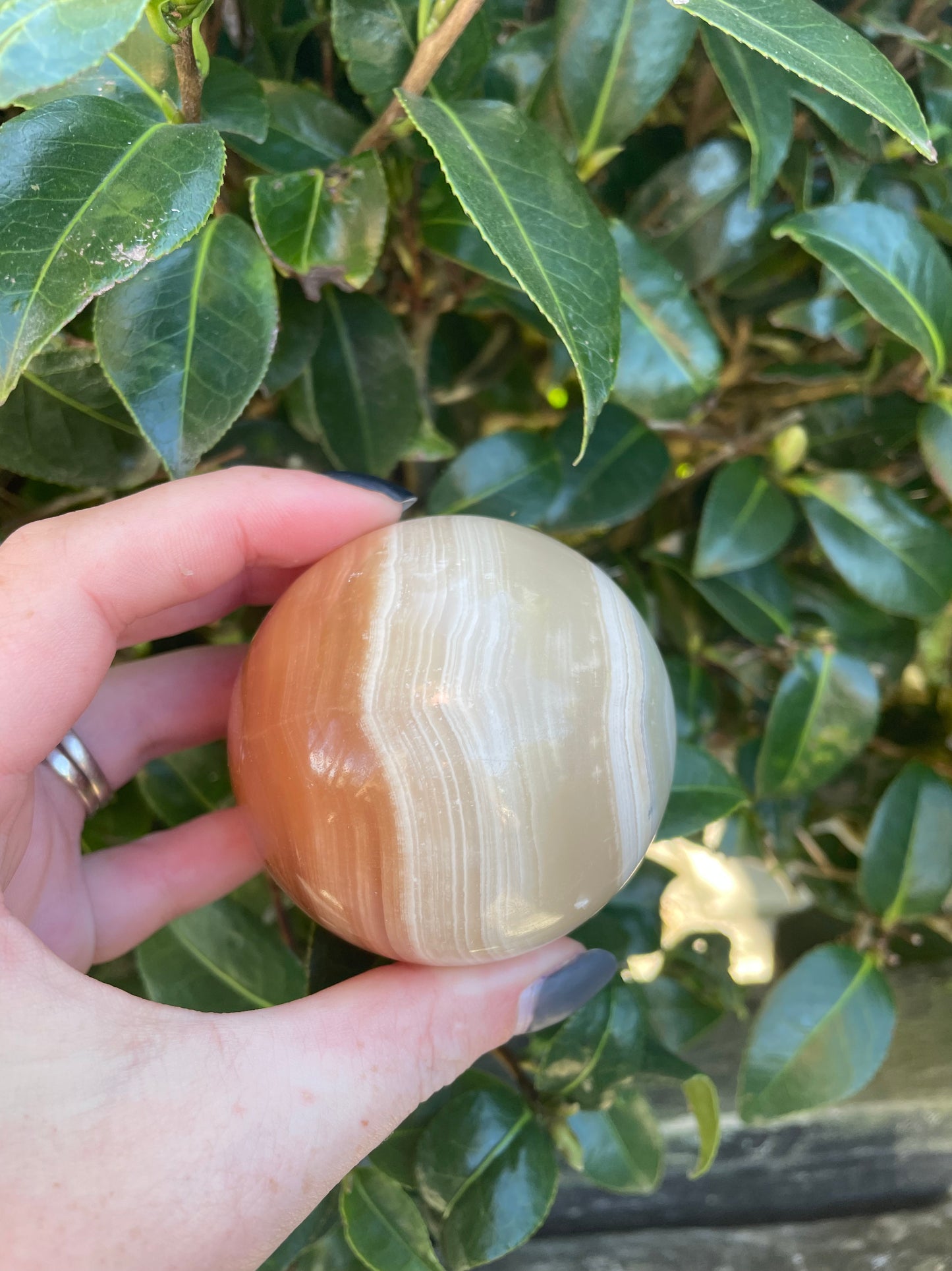 Honey Calcite Sphere A