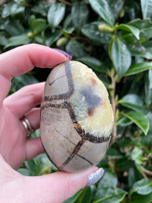 Septarian Piece B