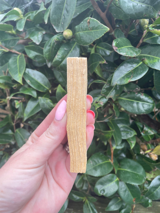 Organic Palo Santo Single Sticks