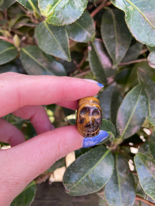 Tigers Eye Mini Skull