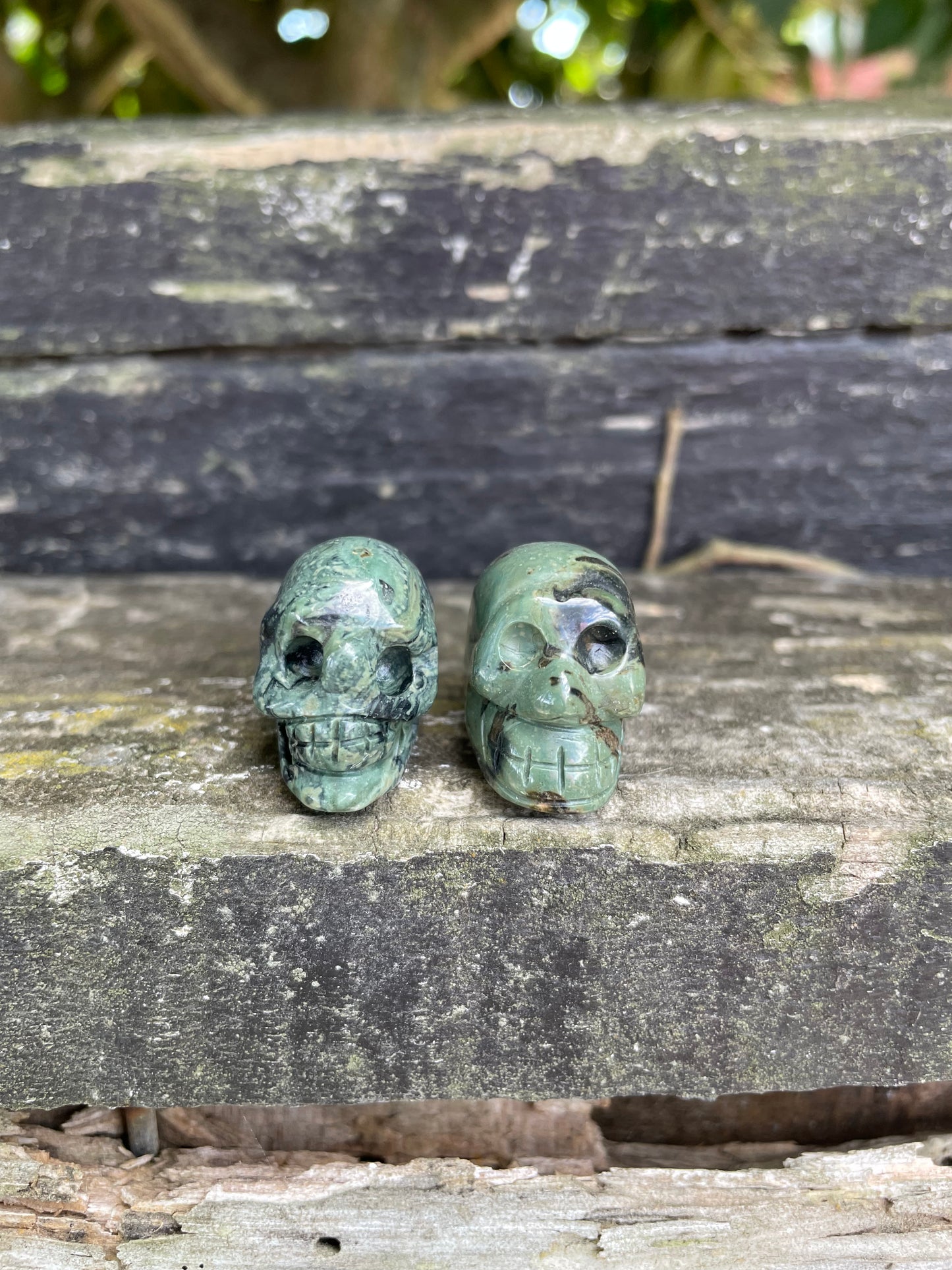 Kambaba Jasper Mini Skull