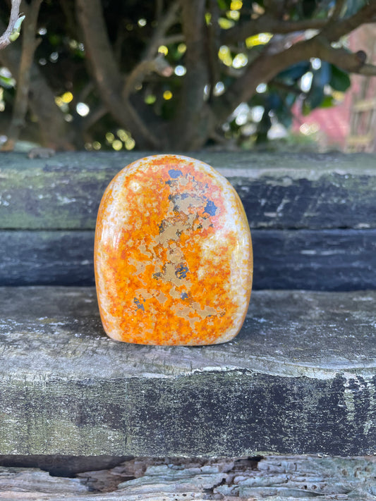 Bumble Bee Jasper Freeform C