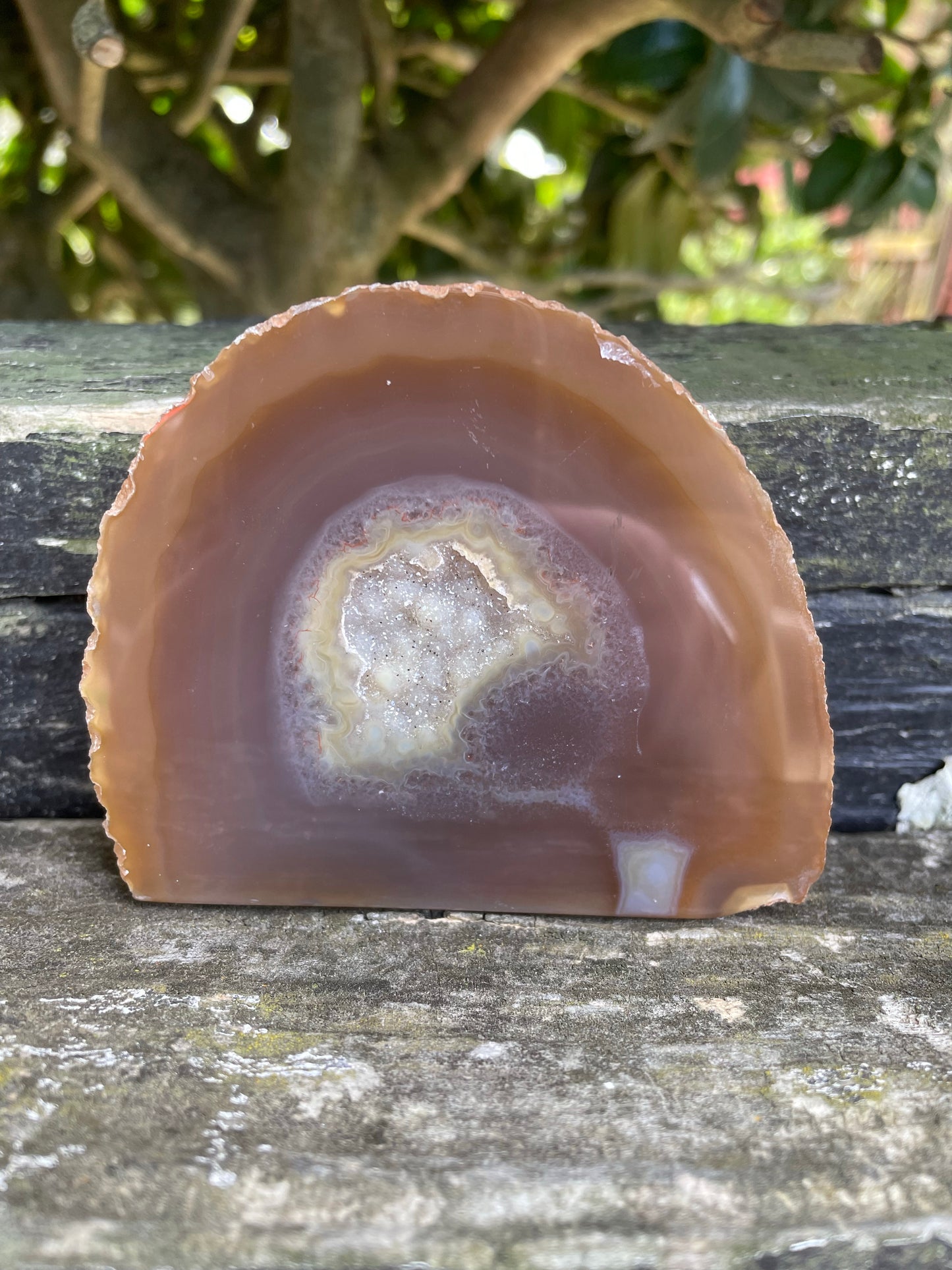 Brown Agate Geode D