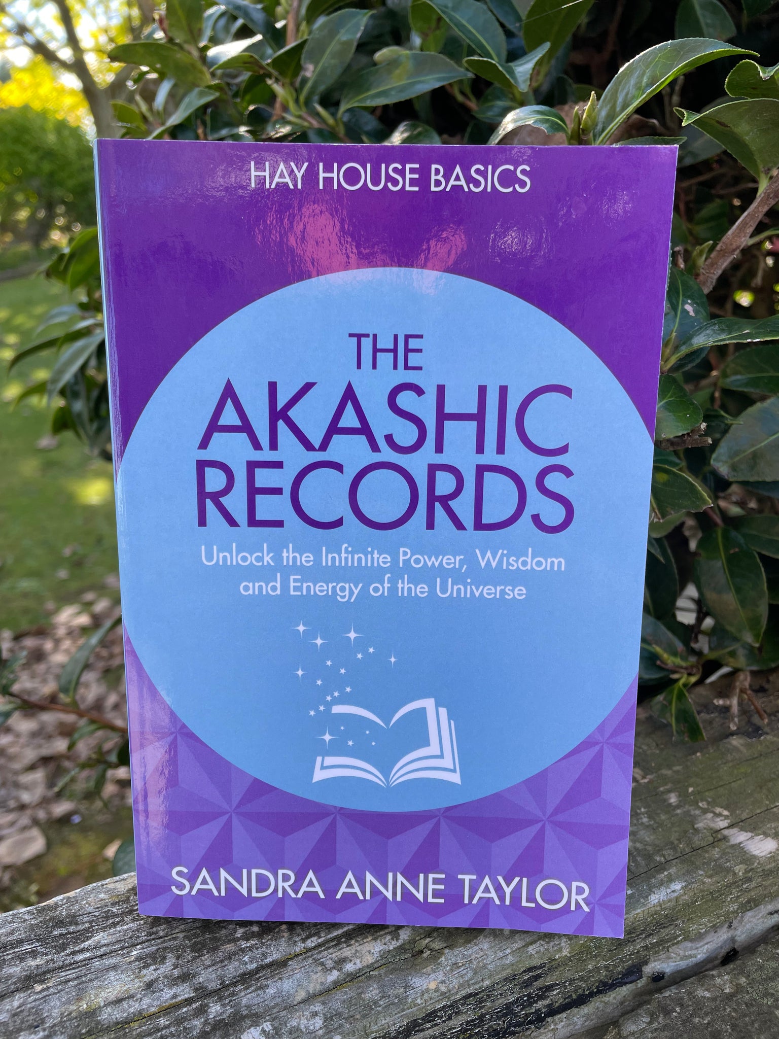 The Akashic Records Book