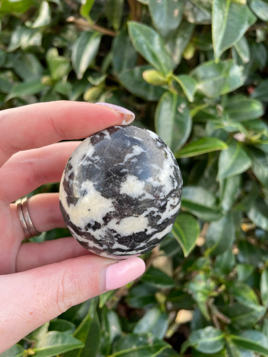 Zebra Jasper Palmstone B