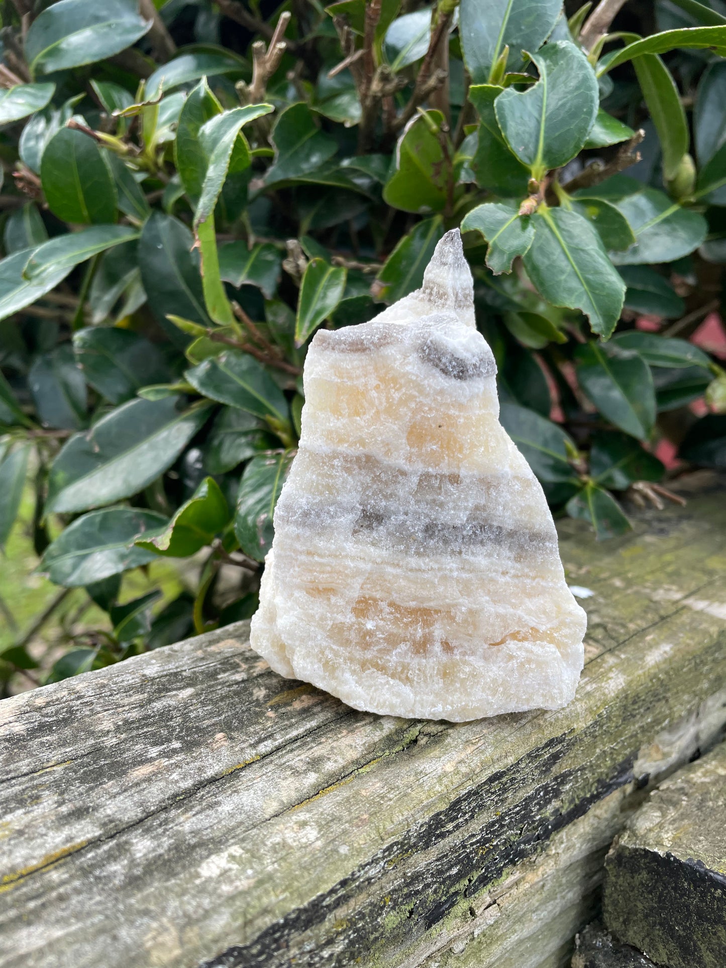 Zebra Calcite Rough Piece A